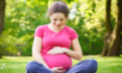 Articles : Seed ART Bank